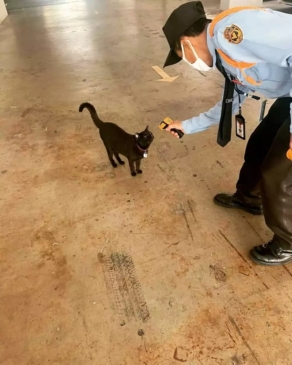 momen absurd pas ukur suhu tubuh Berbagai sumber momen absurd pas ukur suhu tubuh Berbagai sumber