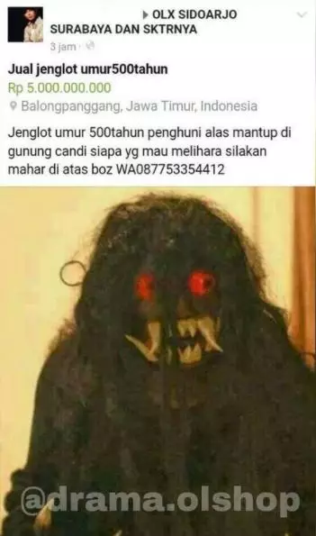 jualan barang aneh di olshop Berbagai sumber