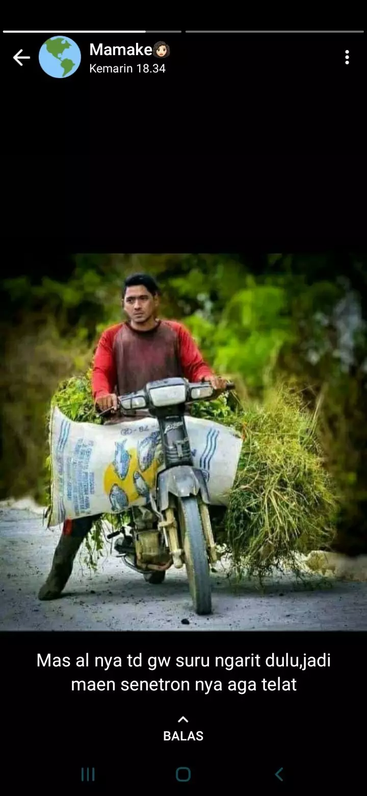 Status WA emak pecinta Ikatan Cinta © berbagai sumber