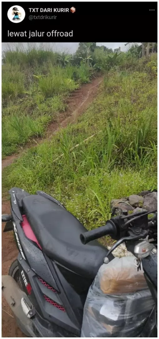 Momen apes kurir antar paket © Twitter Momen apes kurir antar paket © Twitter