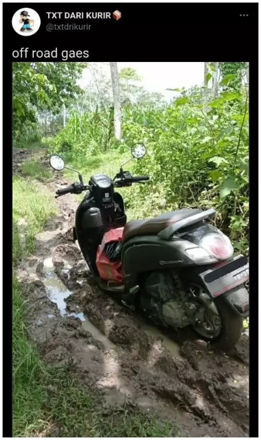 Momen apes kurir antar paket © Twitter Momen apes kurir antar paket © Twitter