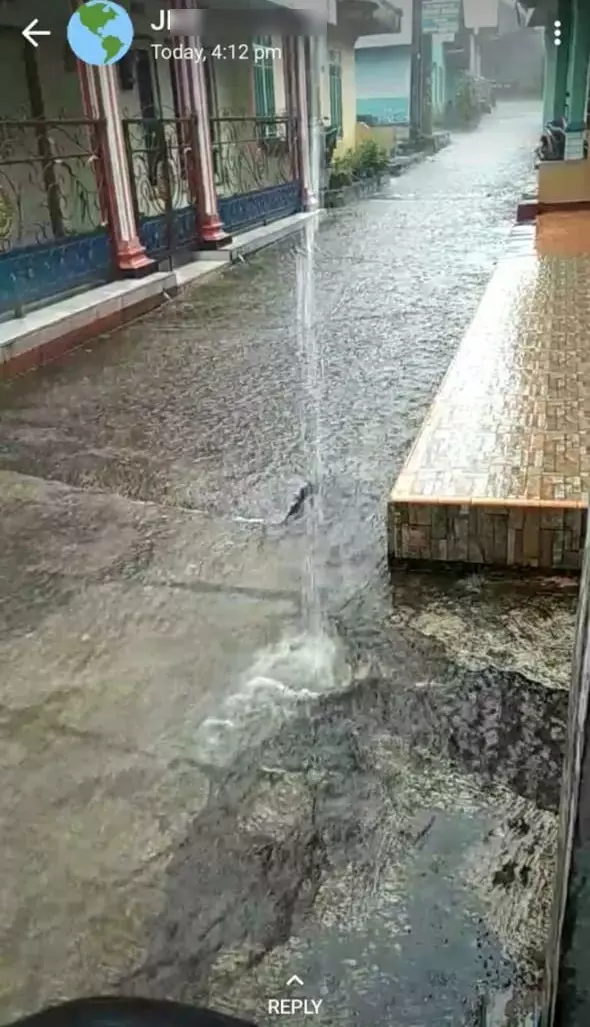 Momen apes kurir antar paket © Twitter Momen apes kurir antar paket © Twitter