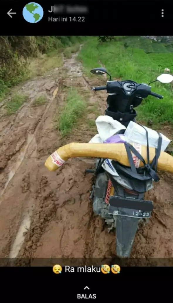 Momen apes kurir antar paket © Twitter Momen apes kurir antar paket © Twitter