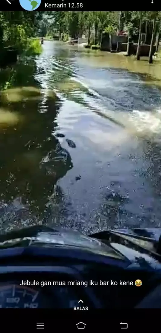 Momen apes kurir antar paket © Twitter Momen apes kurir antar paket © Twitter