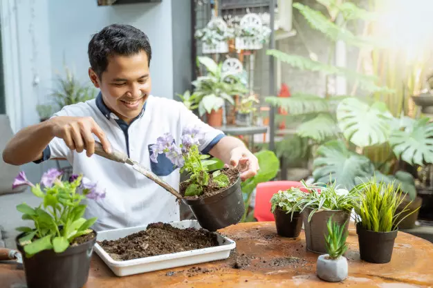 Cara merawat tanaman hias daun Instagram ; freepik © 2021 brilio.net Cara merawat tanaman hias daun Instagram ; freepik © 2021 brilio.net