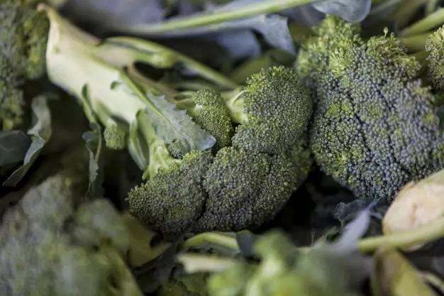 tanaman hidroponik tahan panas ©Instagram tanaman hidroponik tahan panas ©Instagram