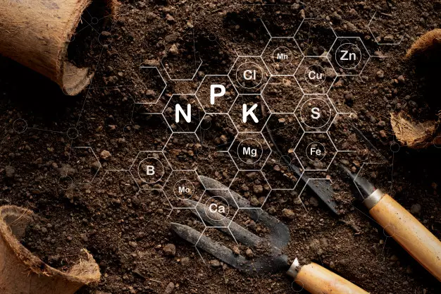 Cara merawat tanaman hias daun kuping gajah Instagram ; freepik © 2021 brilio.net Cara merawat tanaman hias daun kuping gajah Instagram ; freepik © 2021 brilio.net