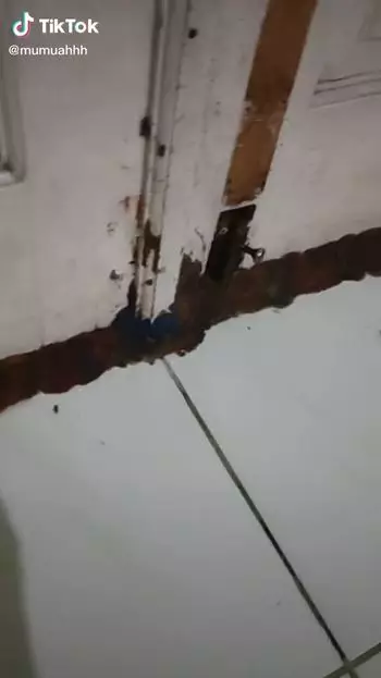 tips sederhana cegah banjir TikTok