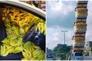 10 Penampakan mobil penuh barang belanjaan, bikin kerutin dahi