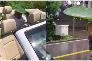 10 Potret kreasi nyeleneh benda dari daun, idenya bikin ngakak