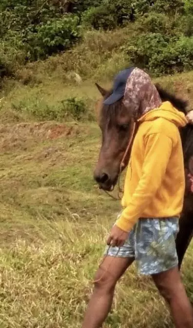 orang kamuflase dengan benda © Berbagai Sumber orang kamuflase dengan benda © Berbagai Sumber