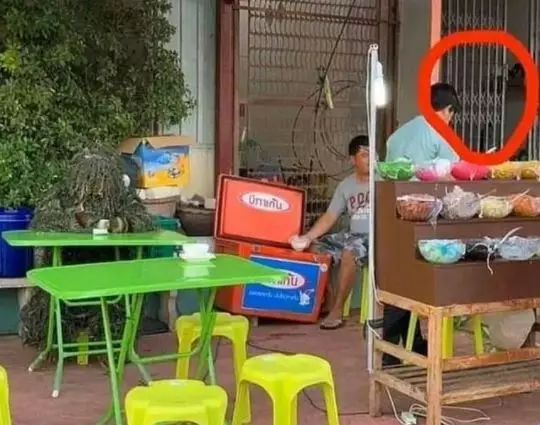 orang kamuflase dengan benda © Berbagai Sumber orang kamuflase dengan benda © Berbagai Sumber