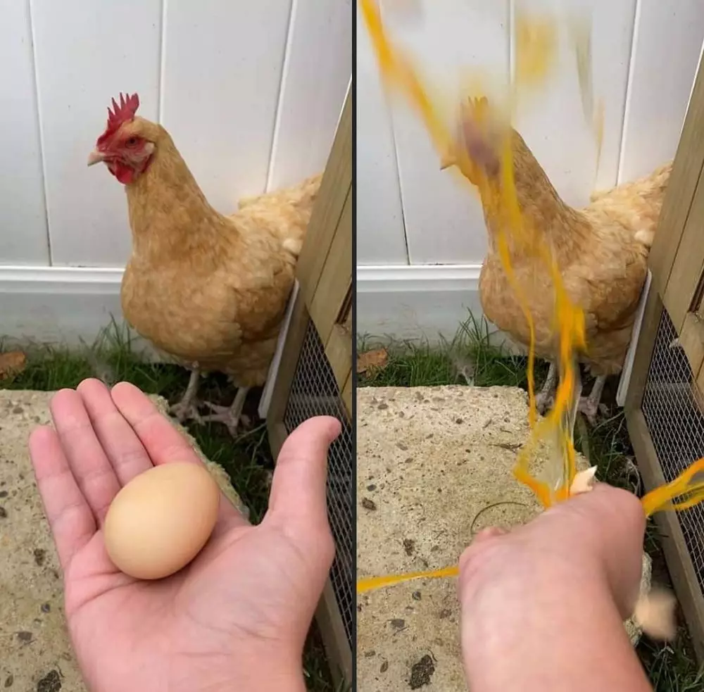 momen orang cari gara-gara © Instagram