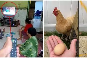 10 Momen orang cari gara-gara, pengen emosi tapi lucu