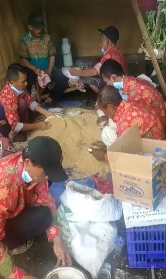 cuci piring pakai serbuk kayu TikTok