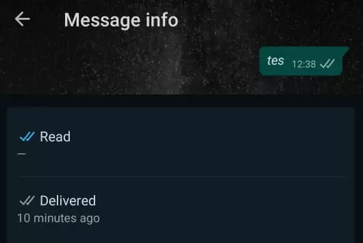 12 fitur tersembunyi WA istimewa