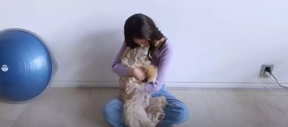 rumah Jennie Blackpink © 2021 brilio.net YouTube rumah Jennie Blackpink © 2021 brilio.net YouTube