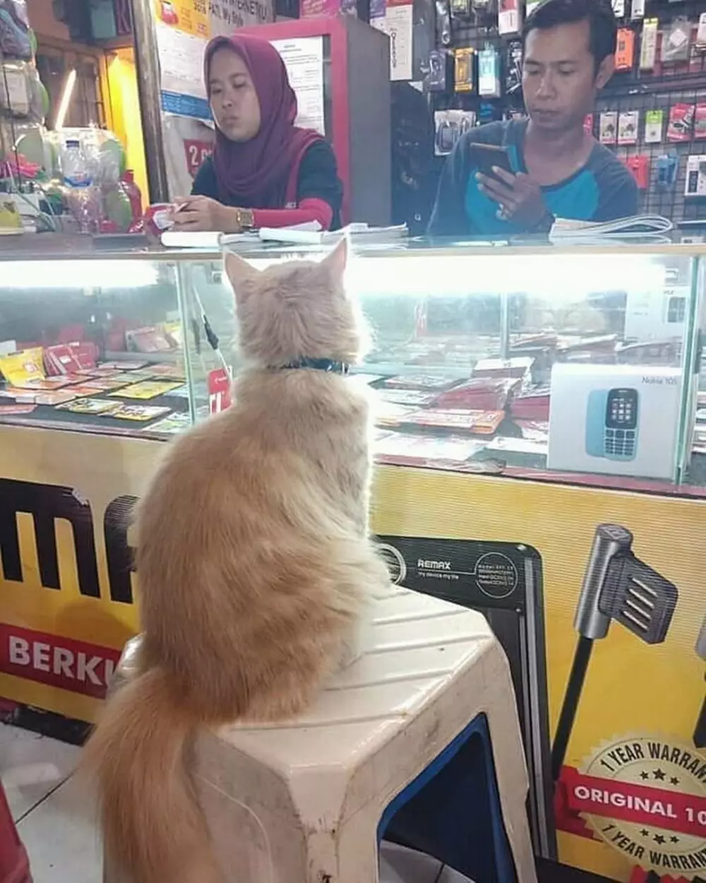 aksi kocak di konter HP © Berbagai Sumber