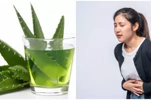 9 Manfaat tanaman obat lidah buaya untuk kesehatan