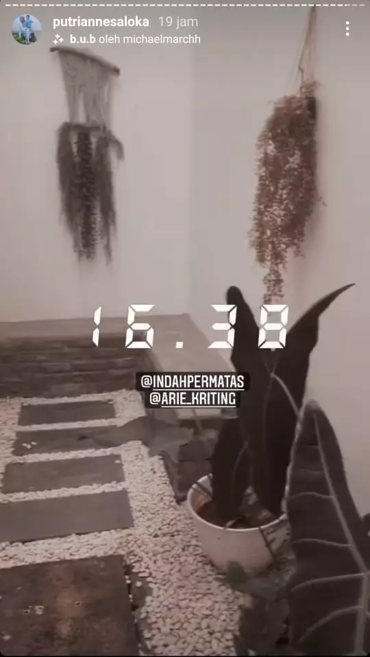 mini garden punya seleb © Instagram mini garden punya seleb © Instagram