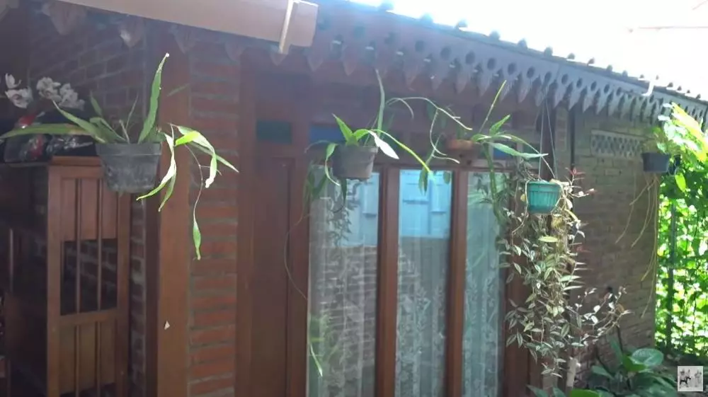 kos adik Zaskia Adya Mecca © YouTube kos adik Zaskia Adya Mecca © YouTube