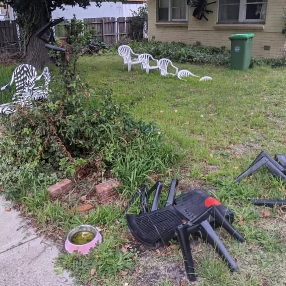 desain hiasan taman © Instagram