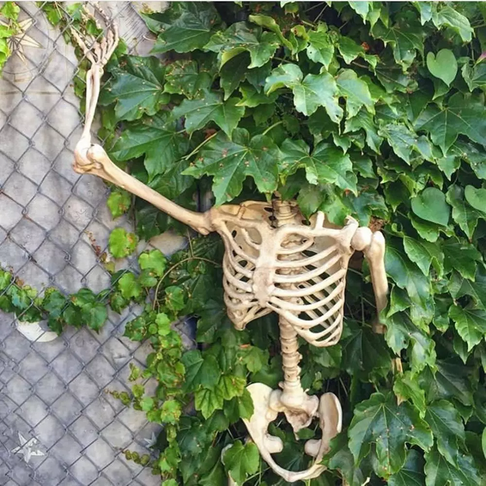 desain hiasan taman © Instagram