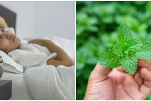 10 Tanaman obat mampu mengatasi insomnia, mudah didapat