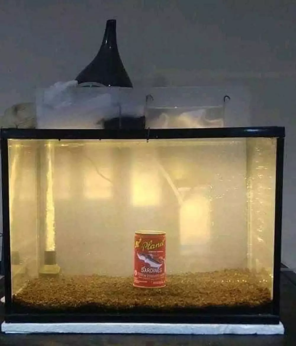 penampakan dalam kandang © Berbagai Sumber penampakan dalam kandang © Berbagai Sumber