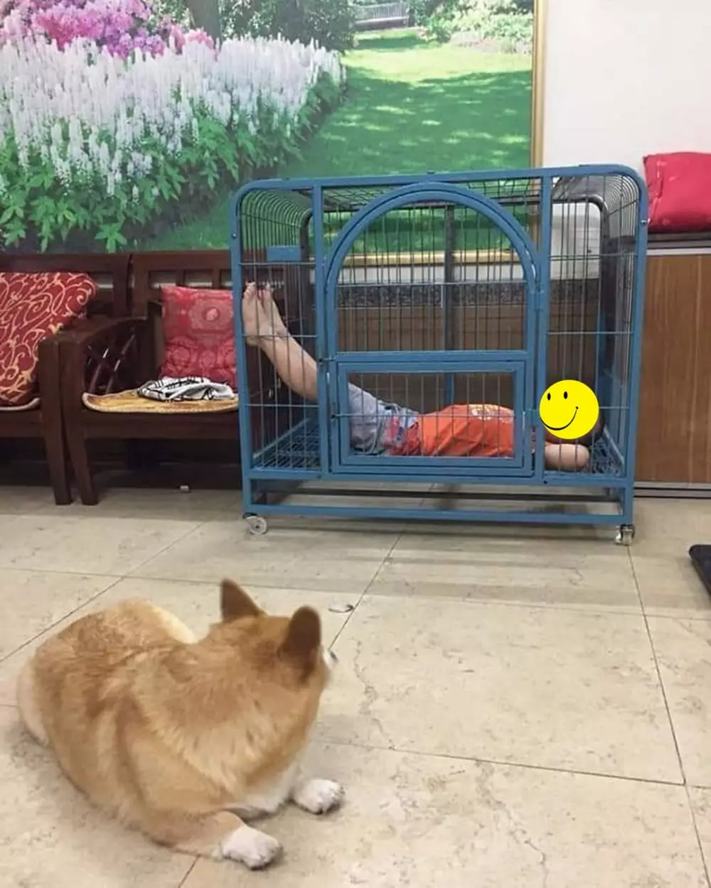 penampakan dalam kandang berbagai sumber penampakan dalam kandang berbagai sumber