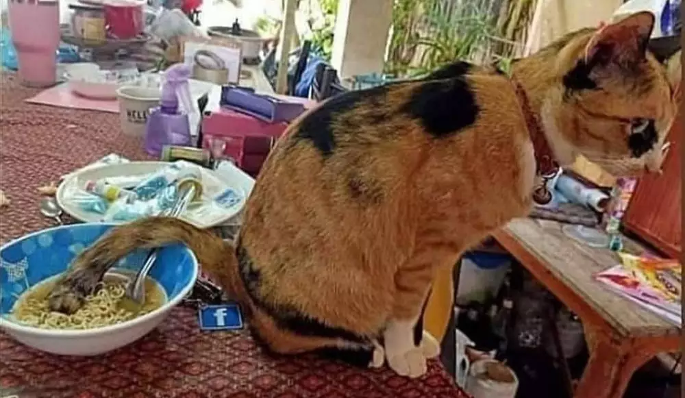 momen ngeselin waktu pengen makan © 2021 instagram.com