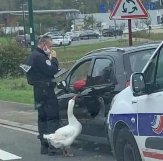 momen pas di tempat parkir © 2021 1cak.com