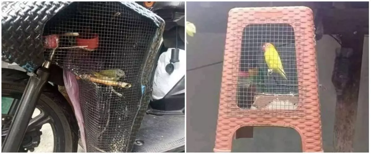 10 Potret kandang low budget desainnya unik, ada dari kipas angin