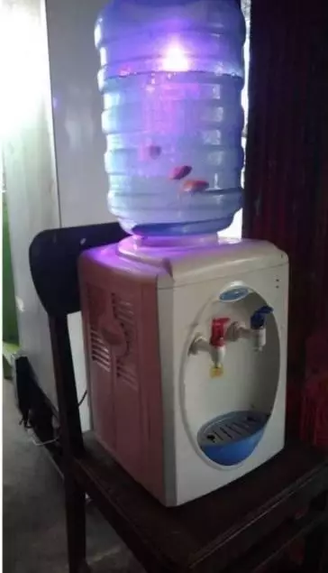 potret kandang low budget © Berbagai Sumber potret kandang low budget © Berbagai Sumber