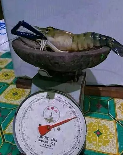 potret lucu pakai alat dapur © 2021 instagram.com potret lucu pakai alat dapur © 2021 instagram.com
