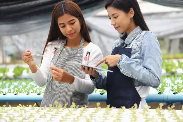 hidroponik tidak berkembang ©freepik.com hidroponik tidak berkembang ©freepik.com