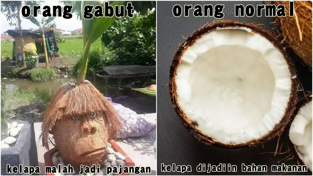 meme lucu orang gabut vs orang normal Berbagai sumber