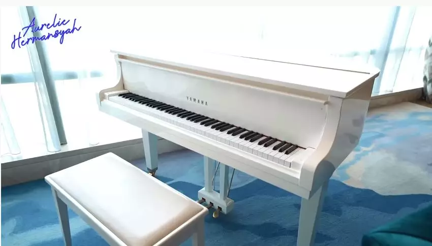 calon kamar pengantin atta dan aurel © YouTube