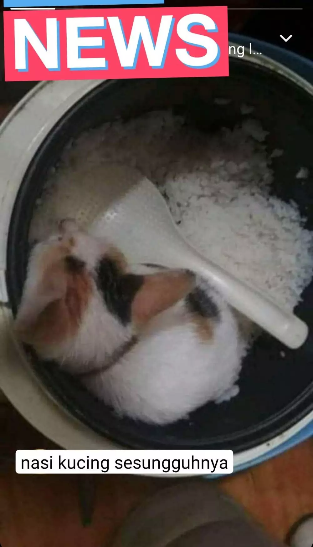 Momen masak apes © berbagai sumber