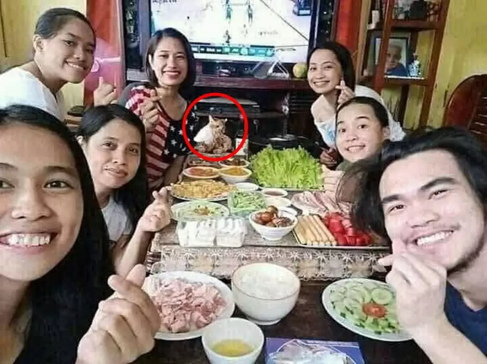 apes saat ngumpul bareng temen © Instagram