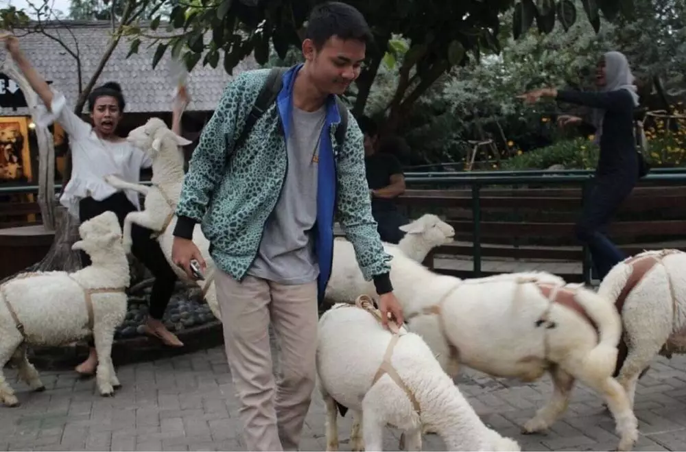 apes saat ngumpul bareng temen © Instagram