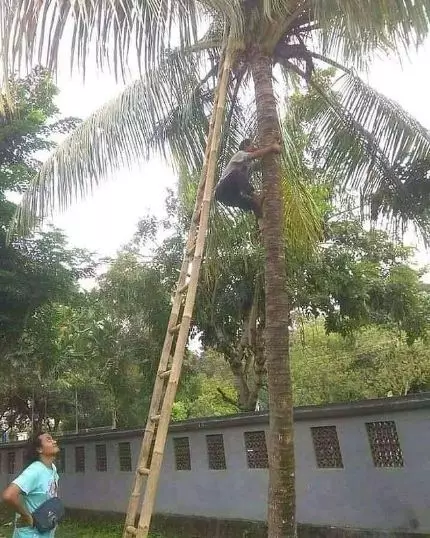 potret lucu cowok saling bantu © 2021 instagram.com