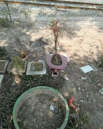 momen lucu pakai benda nggak sesuai fungsi © 2021 instagram.com