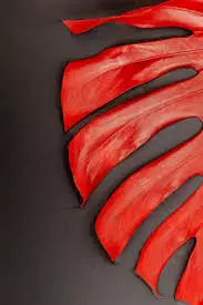 merawat janda bolong merah © freepik.com