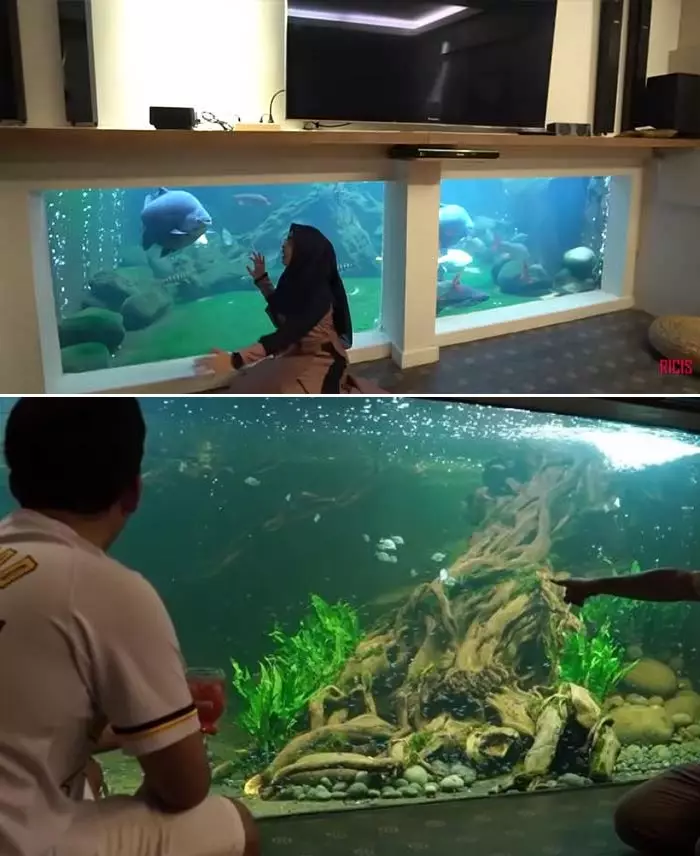 potret akuarium seleb © 2021 brilio.net