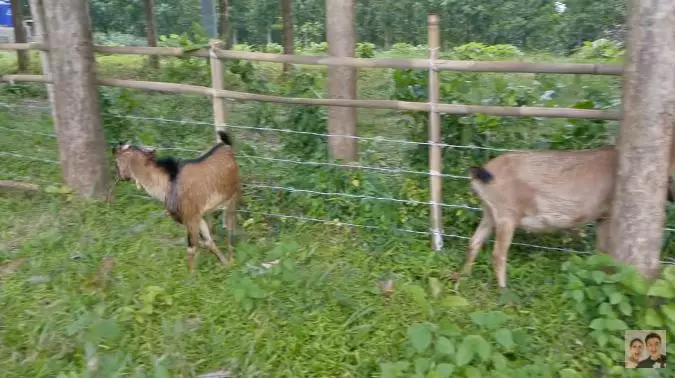 Momen Baim Wong siapkan lahan pesantren © 2021 brilio.net