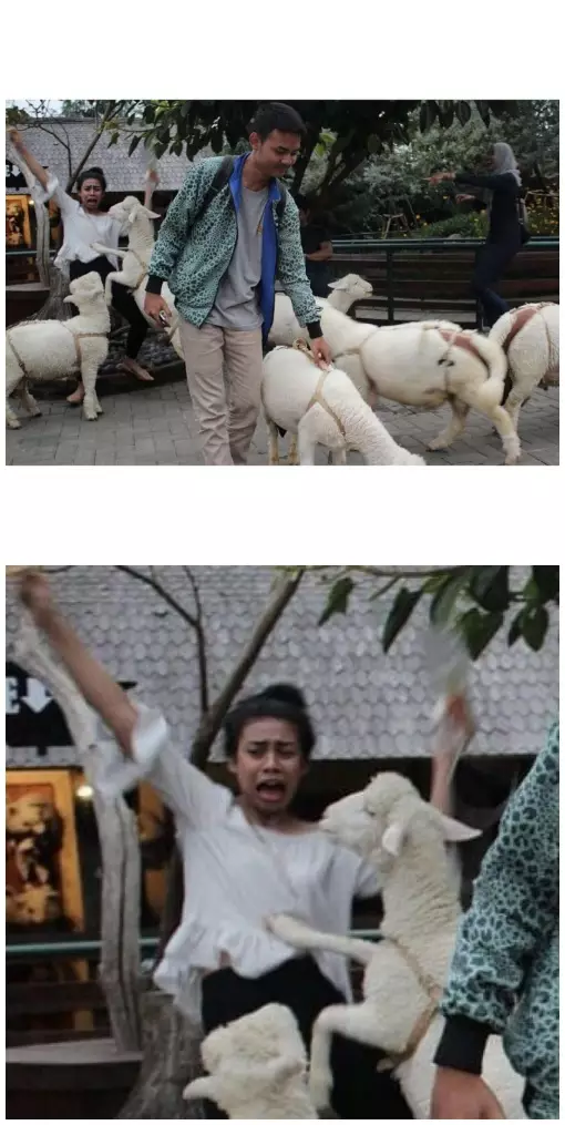 keanehan di foto © berbagai sumber keanehan di foto © berbagai sumber