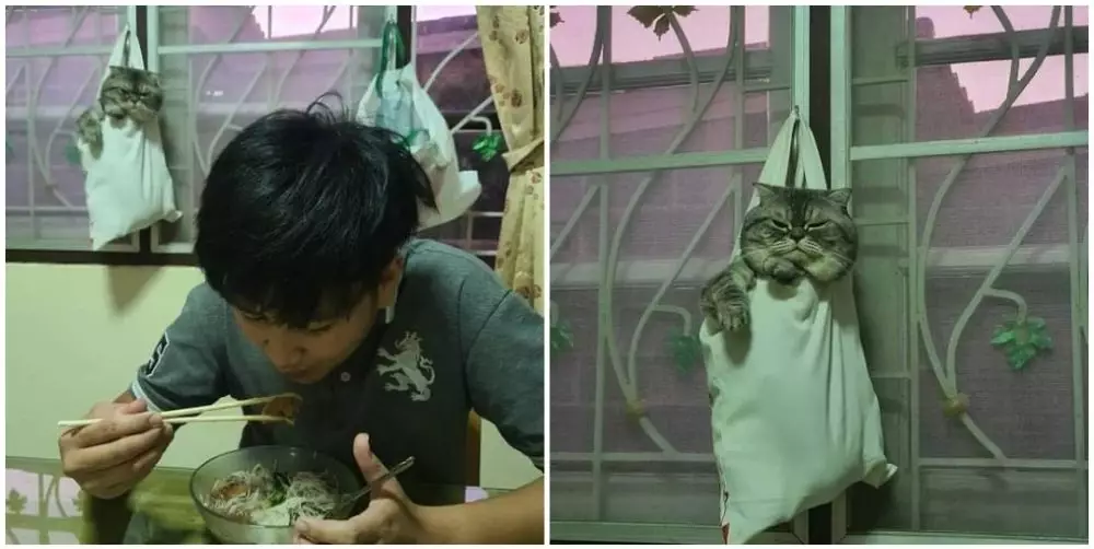 keanehan di foto © berbagai sumber keanehan di foto © berbagai sumber