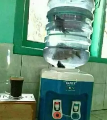 tingkah absurd orang gabut Berbagai sumber tingkah absurd orang gabut Berbagai sumber