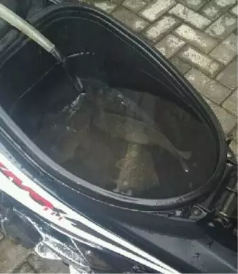 tingkah absurd orang gabut Berbagai sumber tingkah absurd orang gabut Berbagai sumber